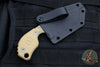 Blackside Customs/Strider Knives SLCC Fixed Blade- Tanto Edge- Coyote Tan G-10 Scale- Coyote Tan Blade Finish