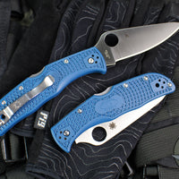Spyderco Endela Lockback Folder- Cobalt Blue FRN Handle- Satin Flat Ground SPY27 Steel Blade C243PCBL