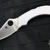 Spyderco Dragonfly Compact Folding Knife Stainless Steel Handles C28P